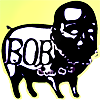 BOB Band Logo